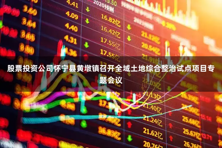 股票投资公司怀宁县黄墩镇召开全域土地综合整治试点项目专题会议