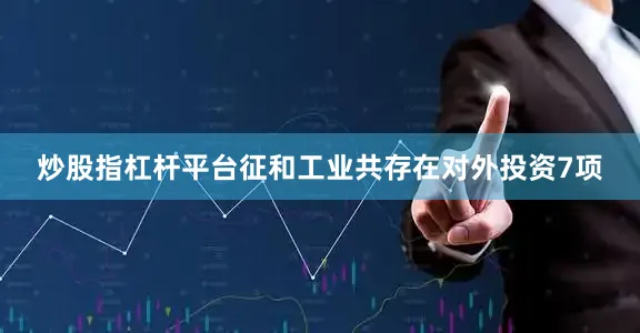 炒股指杠杆平台征和工业共存在对外投资7项